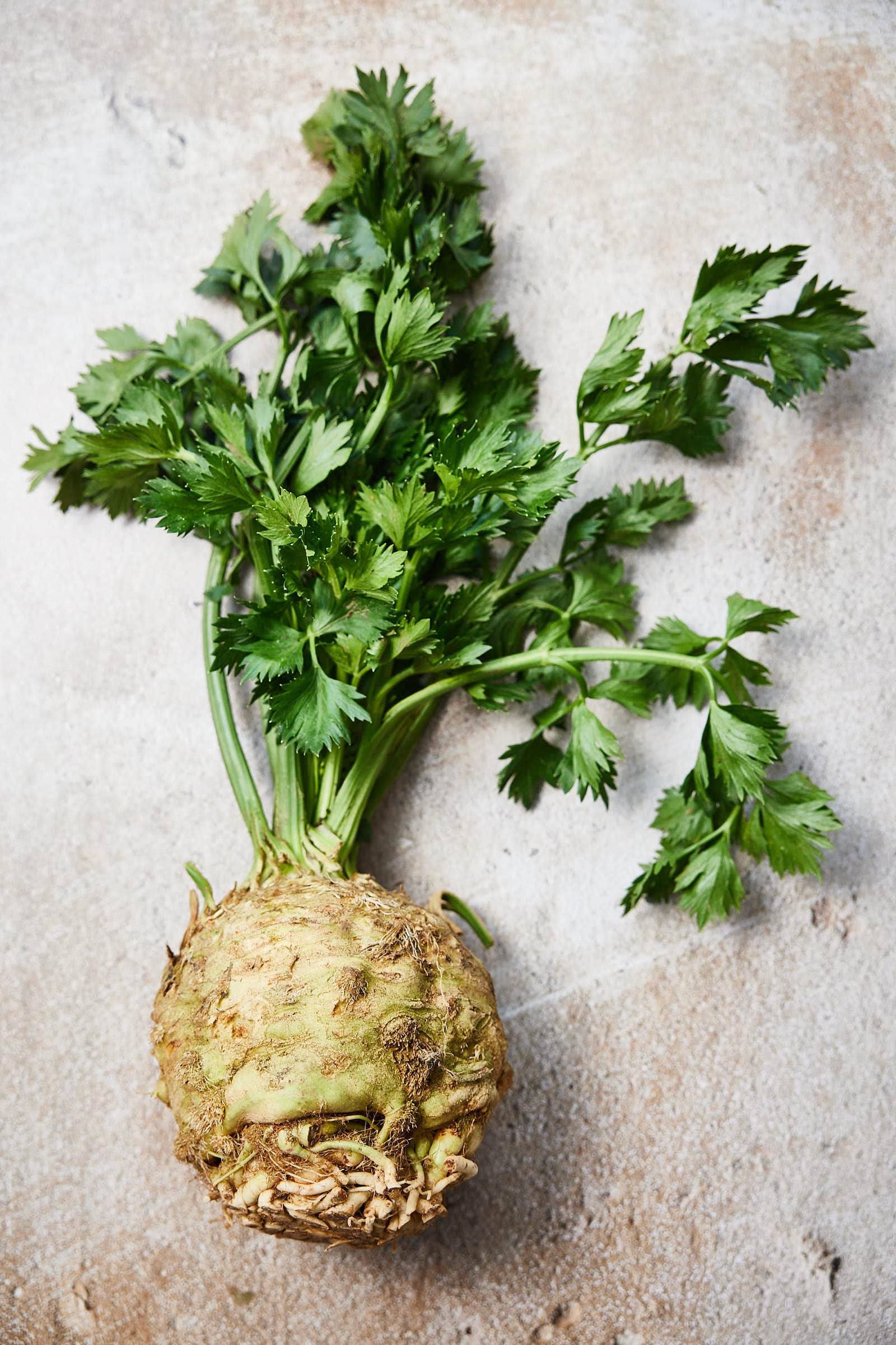 Celeriac
