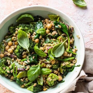 Vegan stir fry with broccoli